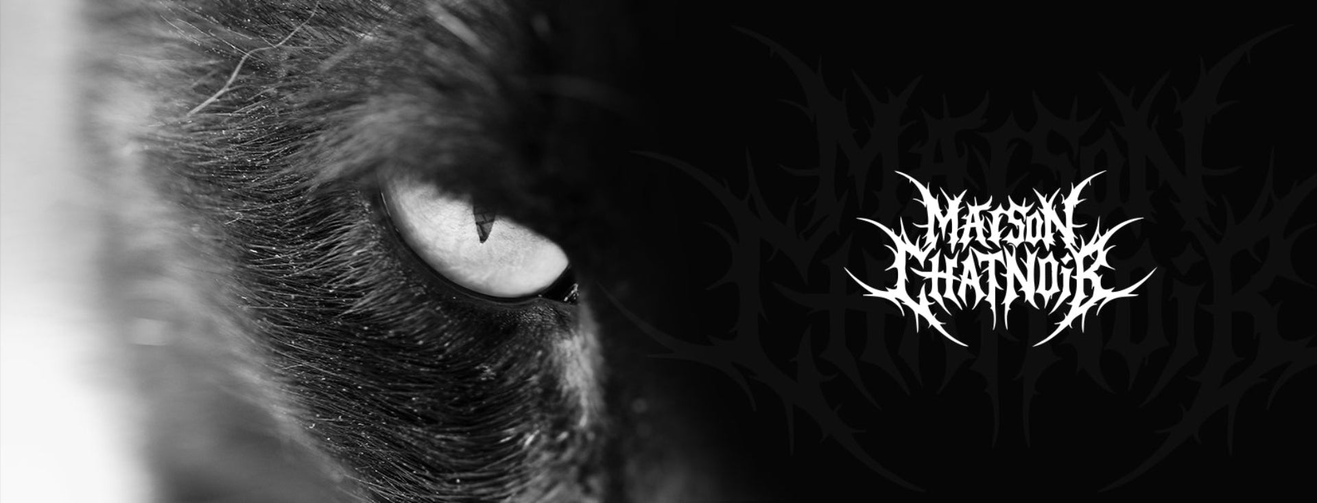 Bannière Maison Chatnoir présentant un gros plan cinématographique d'un œil de chat noir en noir et blanc juxtaposé au logo typographique style metal extrême.